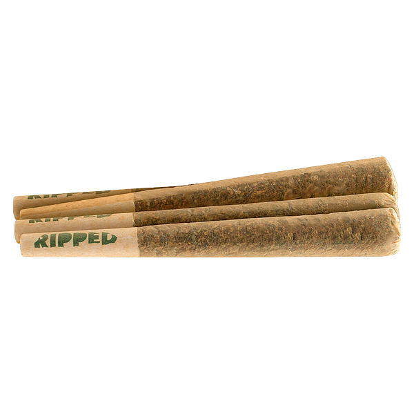 Ripped - Rolls Pre-Roll