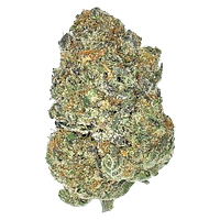 Partake - Orange Squeeze