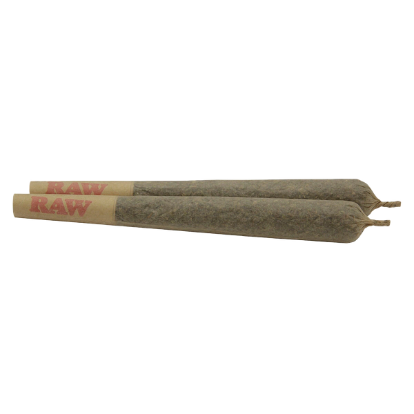 Common Ground - Larry the Purple Alien Pre-Roll