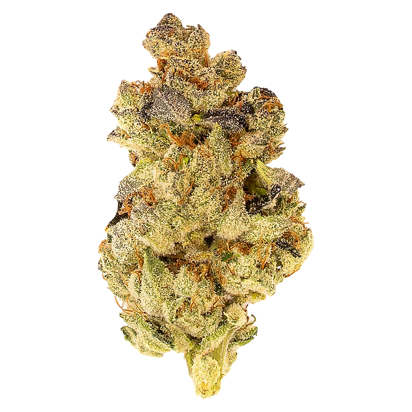 5 Points Cannabis - Mosa Orange Punch