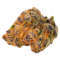 Highland Special - Paulander Purple