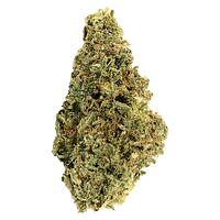 Crooked Dory - AAA+ Indica