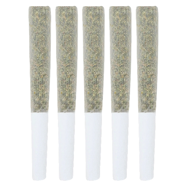 Crooked Dory - AAA+ Indica Pre-Roll