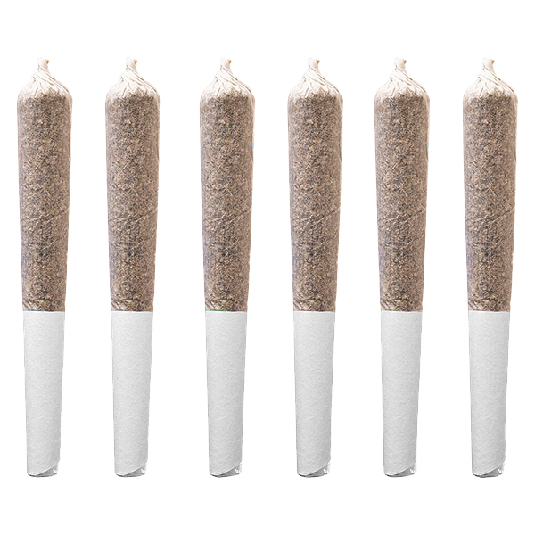 Station House - Trainwreck Pre-Roll