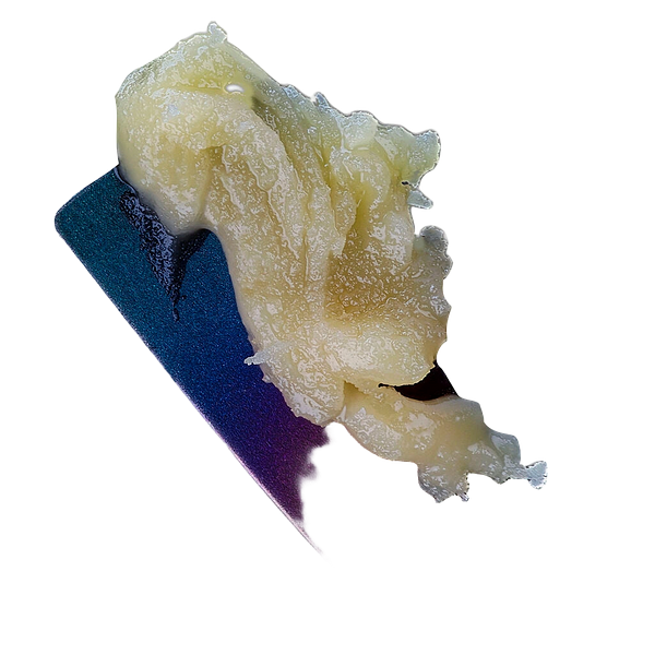 Sauce Rosin Labs - Signature Live Rosin Grease Bucket 73μ-159μ