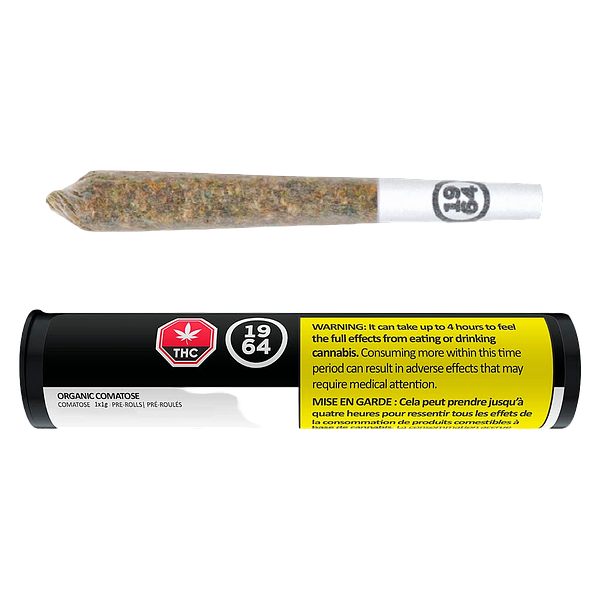 1964 - Organic Comatose Pre Roll