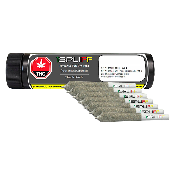 CALI - Mmmosa Evo Pre-Roll