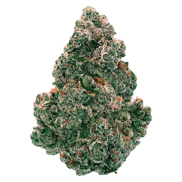 Back Forty - Liquid Imagination