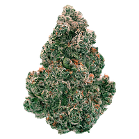 Back Forty - Liquid Imagination