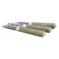 SHRED X - Rainbow Heavies Diamond & Disty Infused Pre-Roll
