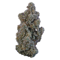 VOLO - Marshmallow Milk