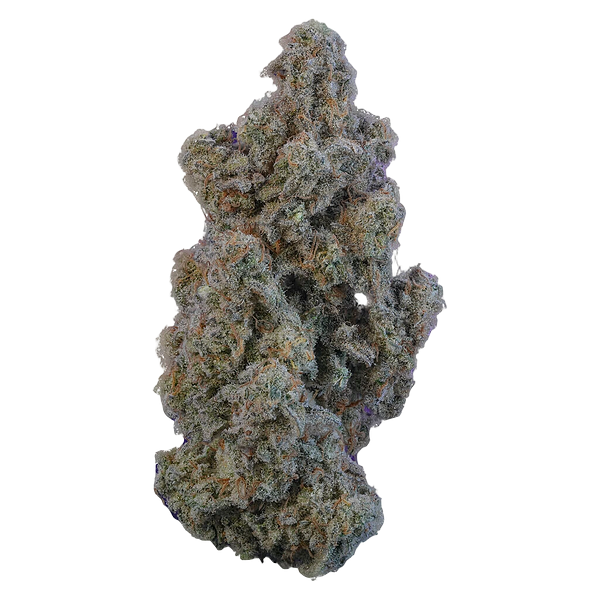 VOLO - Marshmallow Milk