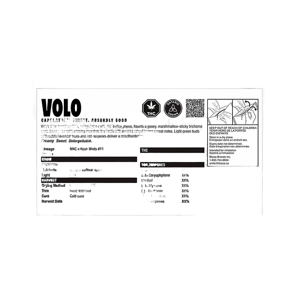 VOLO - Marshmallow Milk