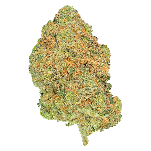 San Rafael '71 - Black Jelly