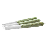 Spinach FEELZ - Blue Razz Durban THCv Full Tilt Infused Pre-Rolls