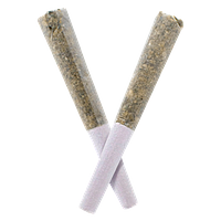 Rosin Heads - Hash Rosin Infused Pre-Rolls