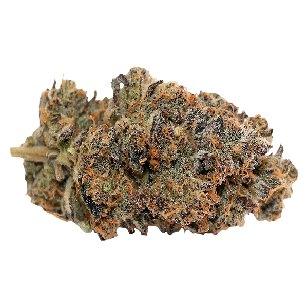 Pineapple Buds - Violet G*shers