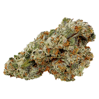 Pure Laine - Special Haze