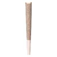 BLK MKT - SFV OG x Candy Rain Pre-Roll