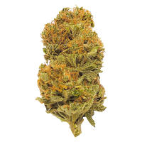 Mendo Select - Durban Poison