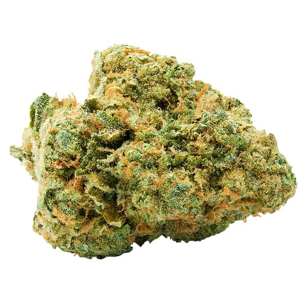 Spinach - Kiwi Lime Punch