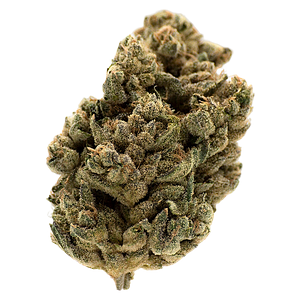 MTL Cannabis - Jungl' Cake