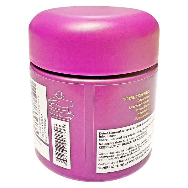 High Xotic - Royal Dive #1: Black Mountain Side