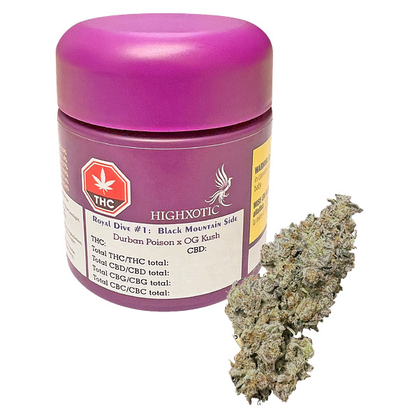 High Xotic - Royal Dive #1: Black Mountain Side