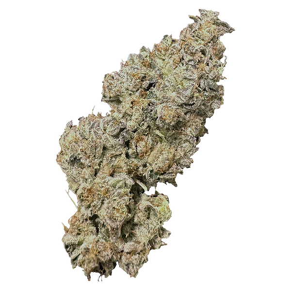 High Xotic - Royal Dive #1: Black Mountain Side