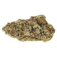 Woody Nelson - Rainbow Driver Craft