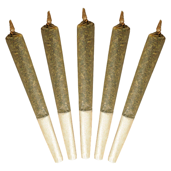 Buddy Blooms - Big Buddy Sativa Pre Roll