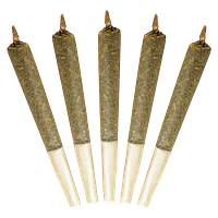 Buddy Blooms - Big Buddy Sativa Pre Roll