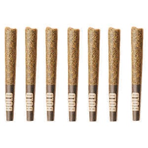 BOLD - Death Star Pre Roll