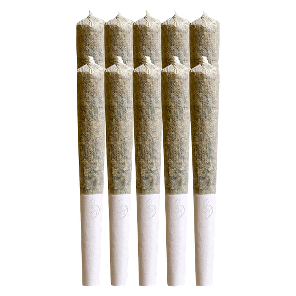 Sana'a - Florida Sunrise Pre Roll