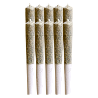 Sana'a - Florida Sunrise Pre Roll