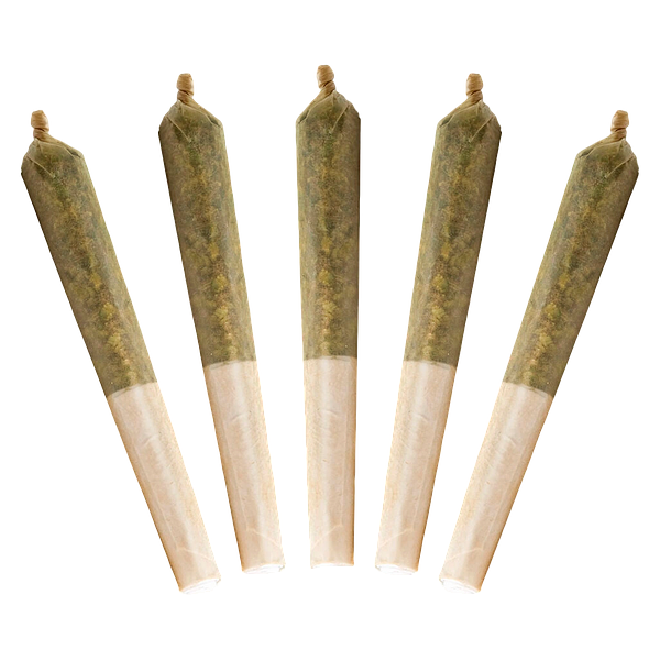 Buddy Blooms - Lil Buddy Sativa Pre Roll