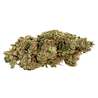 Catch Me Outside - Rooster Call Sativa