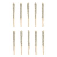 Homestead - Bangtail Pre Roll