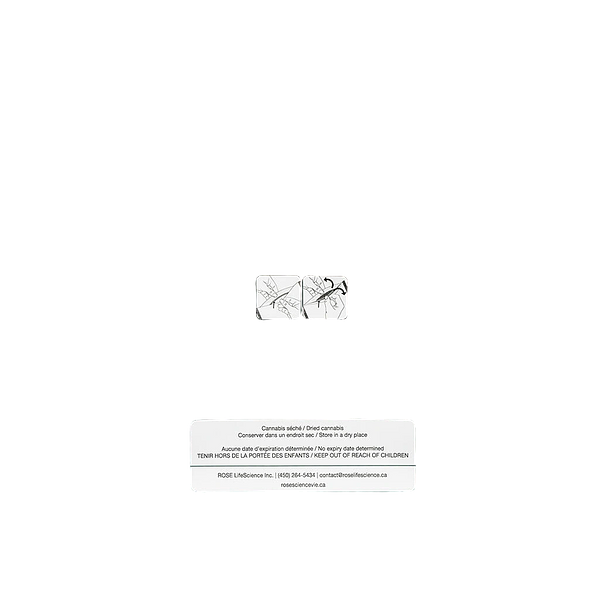 Pure Laine - Big Pleasures