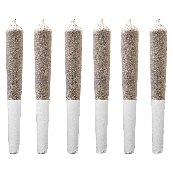 Station House - Northern Lights Pre Roll