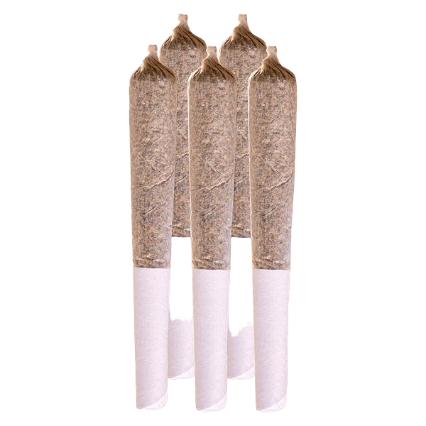 Station House - Northern Lights Pre Roll