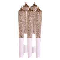 Station House - Northern Lights Pre Roll