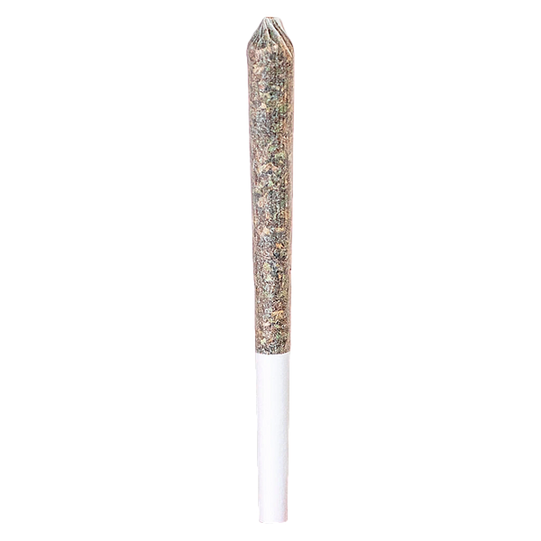 Station House - Northern Lights Pre Roll