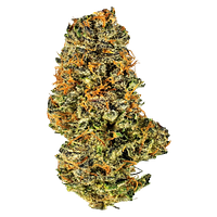 Potluck - Mac And Cheese