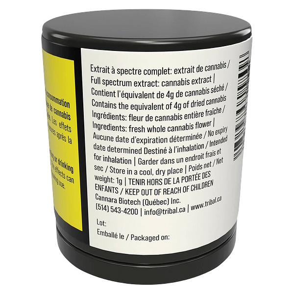 Tribal - Galactic Rntz Fse