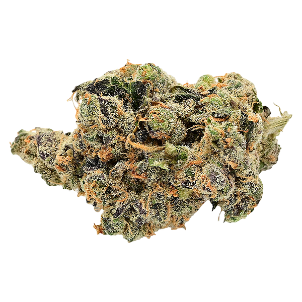 Next Friday - Research Institute