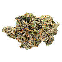 Next Friday - Research Institute