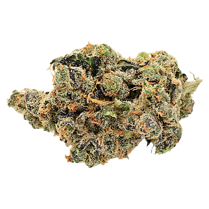 Next Friday - Research Institute