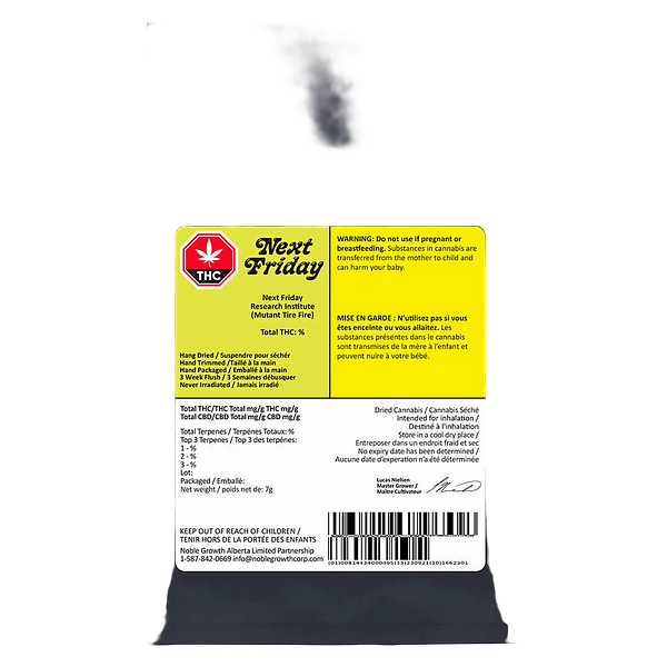 Next Friday - Research Institute