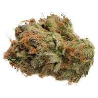 Jonny Chronic - Tropicanna